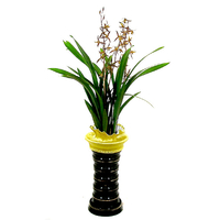 산천보세 1호 (겨울상품) 상품이미지